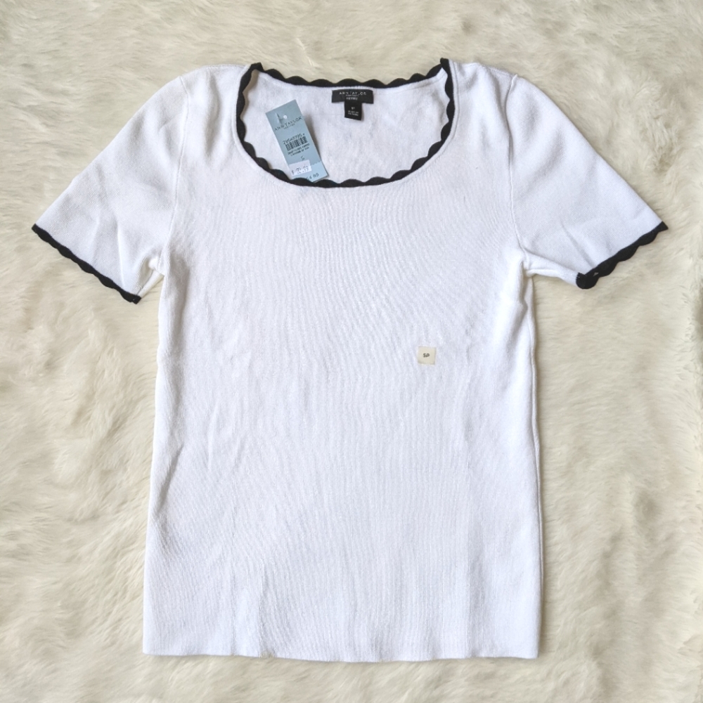 NWT Ann Taylor White Scalloped Contrast Neck Short Sleeve Top / Size S Petite